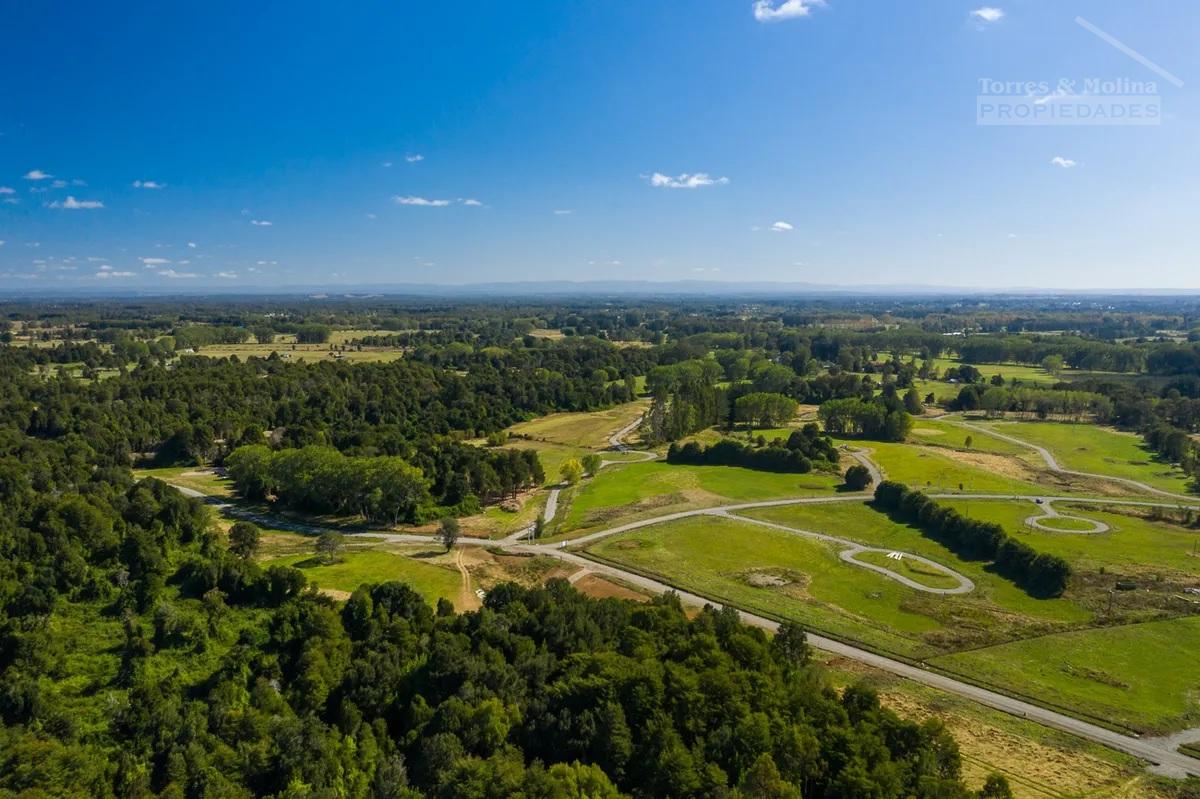 Tu Paraíso Seguro, Te Espera En La Reserva De Frutillar